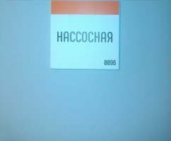 Это фамилия, Нассосная Тамара Павловна.