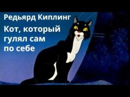 Какая кошка?