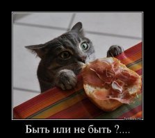 Дерзкая кража продуктов из холодильника