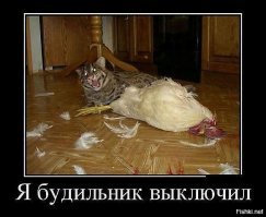 Дерзкая кража продуктов из холодильника