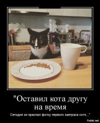 Дерзкая кража продуктов из холодильника
