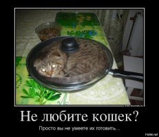 Дерзкая кража продуктов из холодильника