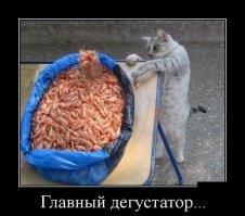 Дерзкая кража продуктов из холодильника