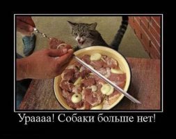 Дерзкая кража продуктов из холодильника