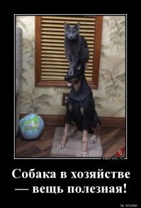 Намешалось