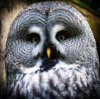 15 крутых идей использования старого глобуса