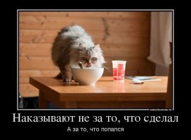 Дерзкая кража продуктов из холодильника