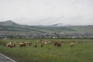 Хакасия