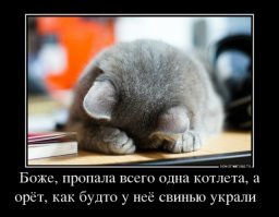 Дерзкая кража продуктов из холодильника