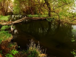 тихое местечко