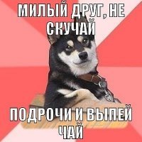 Как эрекция подавляет рассудок