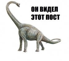 Есть все-таки в жизни справедливость