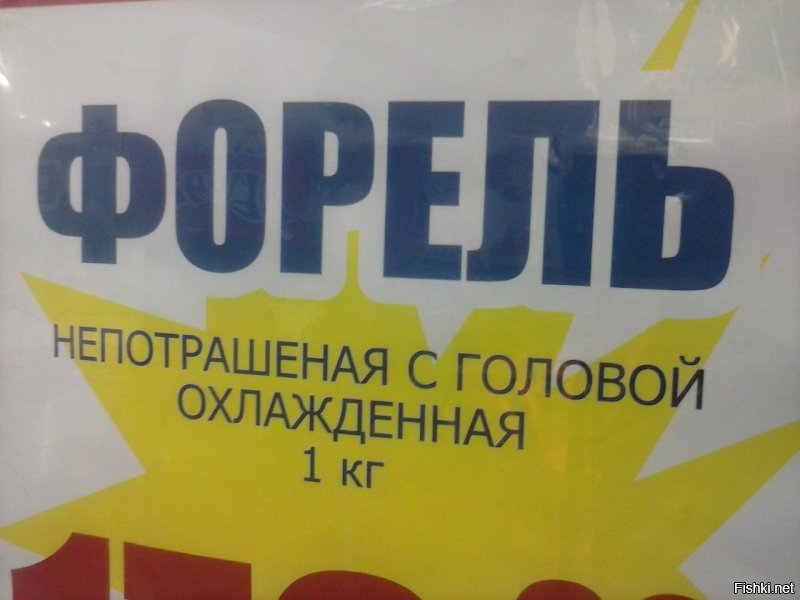 Просто бомбит: когда нет сил терпеть ошибки