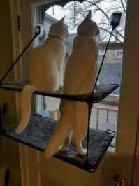 Дама сидит, мужчина стоит.