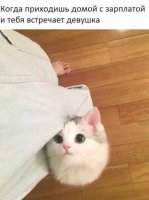 Это же она, да?)