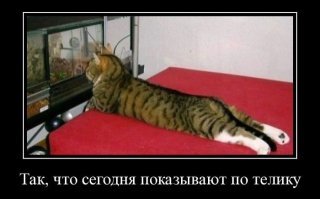 Ну и зануда же ты, Витек.
Даже если и прав, все равно зануда.
.