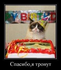 Образ кошки в демотиваторах