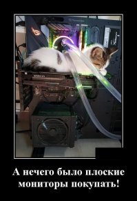 Образ кошки в демотиваторах