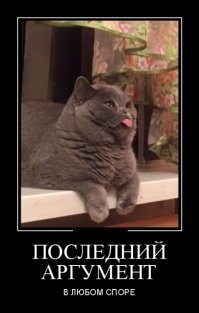 Образ кошки в демотиваторах