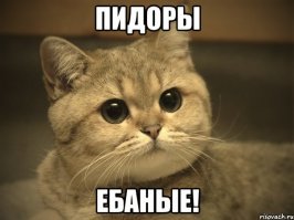 Картинки с надписями