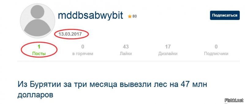 Из Бурятии за три месяца вывезли лес на 47 млн долларов