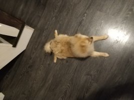 У меня самый раз