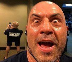 Джо Роган великолепен. Зная его характер, он специально сделал эту фотку и выложил.