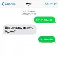 Через 20 минут : Кто там ? - Откройте , ФСБ !