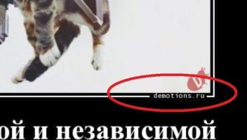 Водя, а чё стесняться то?