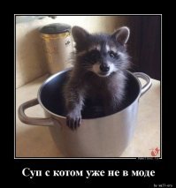 Фотоприколы