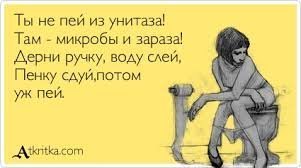 Прикольные и смешные картинки