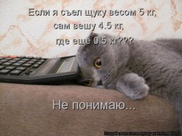 Для утреннего настроения