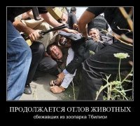 У самого Черного моря