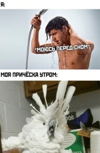 Прикольные и смешные картинки