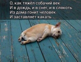 Картинки не для всех