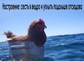 19 снимков, на которые придется посмотреть дважды (а то и трижды)