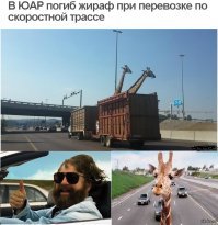 Архиполезно: 16 придумок, которые хочется взять и со всей силы внедрить в твою жизнь