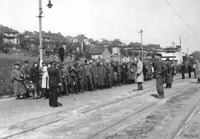 Чехословакия, 10 мая (!!!) 1945 года.
Расстрел "опасных немцев" чехами.
Как видим, по мнению чехов, немецкие женщины очень опасны.