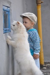Короче, больше от каши не отказывайся! Папка отказался, видал, что мамка с ним делает.