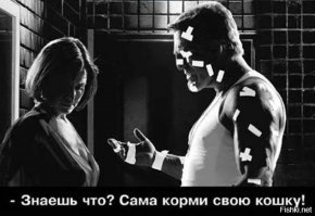 19 доказательств того, что кошки - главные хозяева в доме