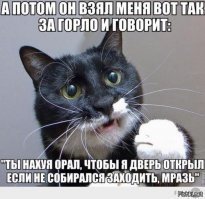 19 доказательств того, что кошки - главные хозяева в доме