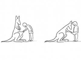Интересные факты об Австралии
