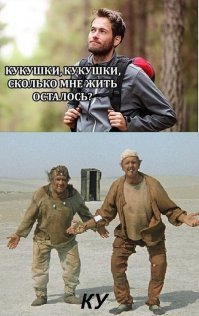 Прикольные и смешные картинки