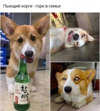 Картинки не для всех