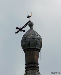 18 случаев, когда природа показала, что всё равно победит, сколько бы люди не пытались её подчинить