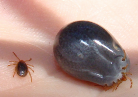 Картинки с надписями