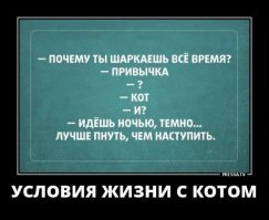 Прикольные и смешные картинки