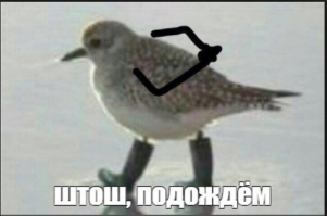 У нас всё по стандарту:пока гром не грянет.