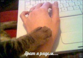 Мне показалось это сестра...