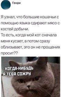 Прикольные и смешные картинки